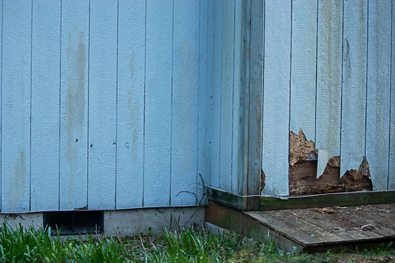 Seasonal Siding Maintenance